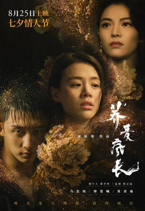 怎么办假美国EAD工卡代办验资证明